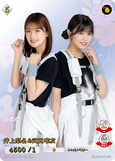 井上梨名&武元唯衣 【BB-S46-049R】